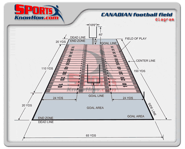 Canadian (CFL) Football Field Dimensions/Diagram. Print this diagram(PDF)